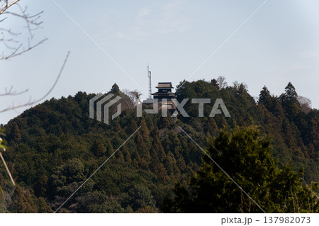 足助城址と周囲の山並みを見渡す風景 足助城址と周囲の山並みを見渡す風景 137982073