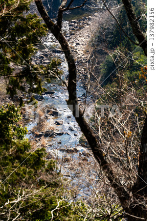山間の林から望む光が反射する川面の風景 山間の林から望む光が反射する川面の風景 137982156