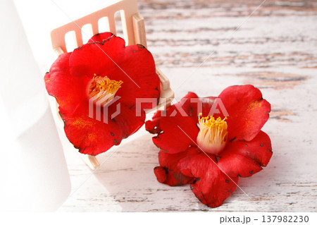 2輪の落ち椿 窓辺の光と風を感じる風景 137982230