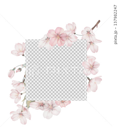 Floral square photo frame decorate with Somei Yoshino sakura flowers Floral square photo frame decorate with Somei Yoshino sakura flowers 137982247