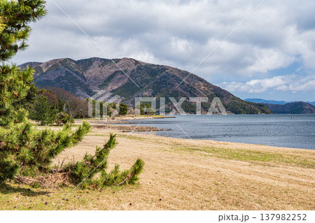琵琶湖岸風景　滋賀県長浜市マキノ町 137982252