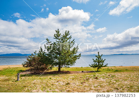 琵琶湖岸風景 滋賀県長浜市マキノ町 琵琶湖岸風景 滋賀県長浜市マキノ町 137982253