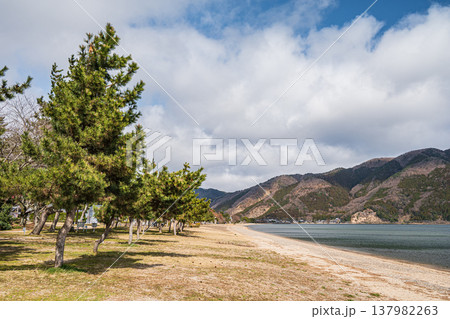 琵琶湖岸風景　滋賀県長浜市マキノ町 137982263