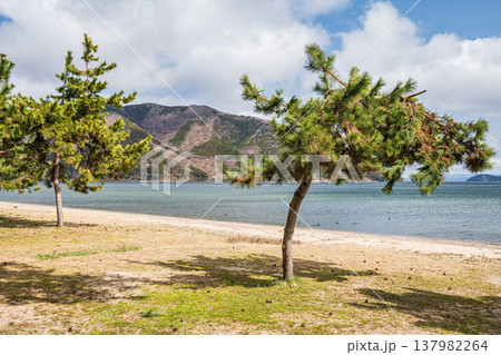 琵琶湖岸風景 滋賀県長浜市マキノ町 琵琶湖岸風景 滋賀県長浜市マキノ町 137982264