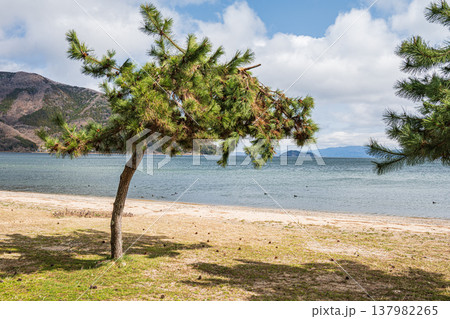 琵琶湖岸風景　滋賀県長浜市マキノ町 137982265