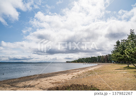 琵琶湖岸風景　滋賀県長浜市マキノ町 137982267