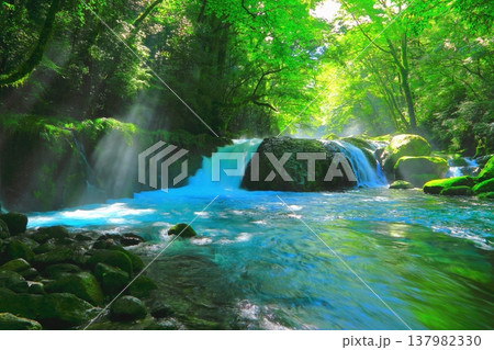 美しい光芒の出る菊池渓谷（黎明の滝・菊池市） 137982330
