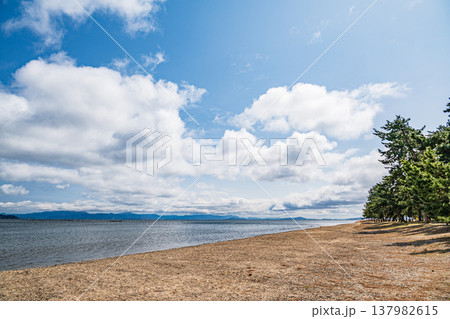 琵琶湖岸風景 滋賀県長浜市マキノ町 琵琶湖岸風景 滋賀県長浜市マキノ町 137982615