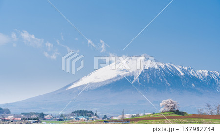 [岩手県]岩手山と為内の一本桜の風景　八幡平市 137982734