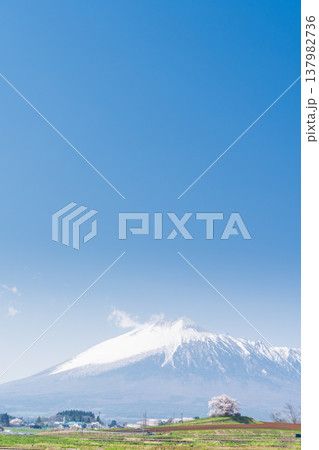 [岩手県]岩手山と為内の一本桜の風景　八幡平市 137982736
