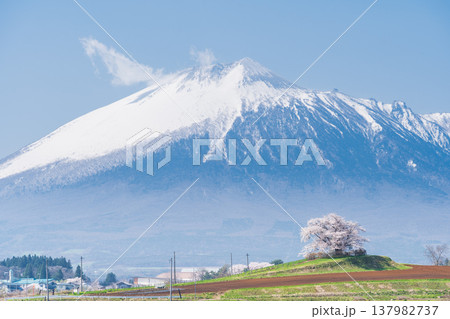 [岩手県]岩手山と為内の一本桜の風景　八幡平市 137982737