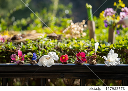 色鮮やかな花壇 137982778