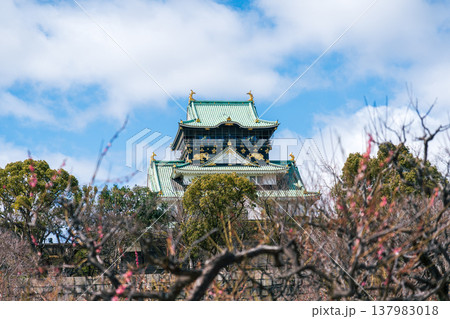梅園から望む天守閣 梅園から望む天守閣 137983018