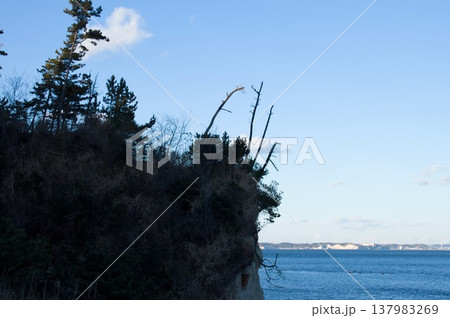 海岸の風景 137983269