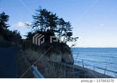 海岸の風景 137983270