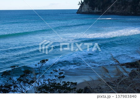 海辺の風景 137983840