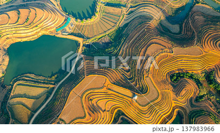 2. Tad Ma Waterfall: Where Nature Supports Life and Farming 2. Tad Ma Waterfall: Where Nature Supports Life and Farming 137983966