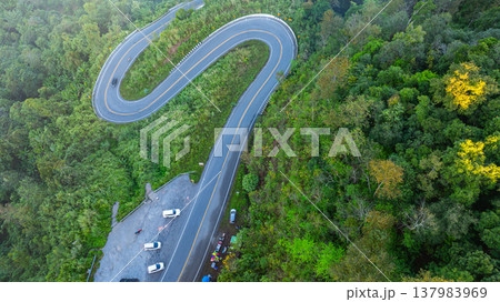 Winding Mountain Road Through Lush Forest Winding Mountain Road Through Lush Forest 137983969