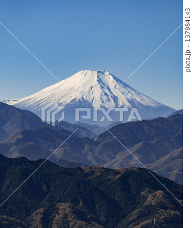 高尾山から見る富士山(Mt. Fuji from Mt. Takao) 137984143