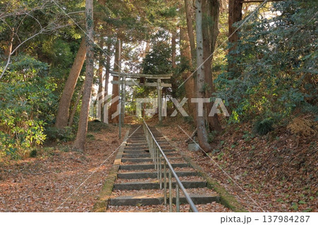 宮城県・七ヶ浜町・鼻節神社 宮城県・七ヶ浜町・鼻節神社 137984287
