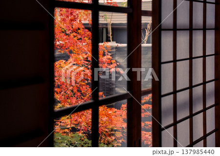 Deepening Autumn Garden at Unryu in Kyoto Temple Nov 28 2025 137985440