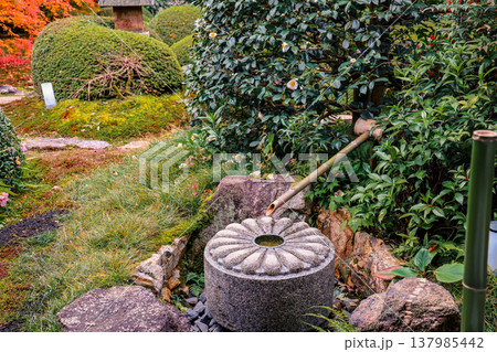 Zen Maple at Unryu in Temple Kyoto Japan Nov 28 2025 Zen Maple at Unryu in Temple Kyoto Japan Nov 28 2025 137985442
