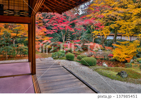 Serene grounds of Unryu-in Temple in Kyoto Japan Nov 28 2025 Serene grounds of Unryu-in Temple in Kyoto Japan Nov 28 2025 137985451
