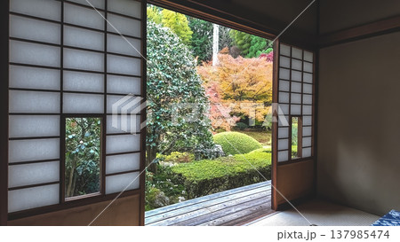 Maple Zen Room Windows at Unryu in Kyoto Nov 28 2025 137985474