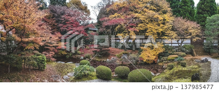 Serene Gozasho Garden at Sennyu ji Temple Kyoto Nov 28 2025 Serene Gozasho Garden at Sennyu ji Temple Kyoto Nov 28 2025 137985477