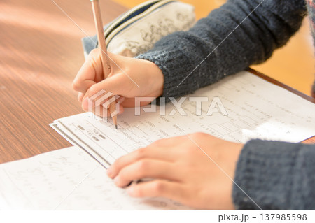 学習プリントに向き合う子ども 算数の勉強シーン 137985598