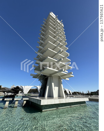 駒沢オリンピック公園　2024年2月 137985621