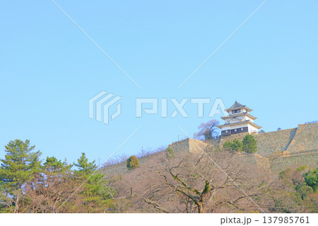 香川県丸亀市、丸亀城の風景 137985761