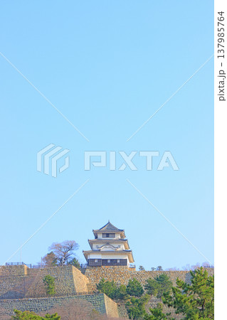 香川県丸亀市、丸亀城の風景 137985764