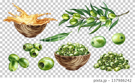 Set with green olives. Hand-drawn watercolor illustrations. An olive branch, a handful of olives, and oil. For labels, prints, and decor, as well as for packaging, banners, posters, and more. Set with green olives. Hand-drawn watercolor illustrations. An olive branch, a handful of olives, and oil. For labels, prints, and decor, as well as for packaging, banners, posters, and more. 137986242