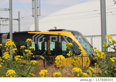 宇都宮LRT 宇都宮LRT 137986503