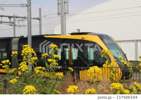 宇都宮LRT 137986504