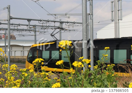 宇都宮LRT 宇都宮LRT 137986505