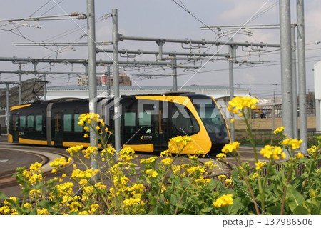 宇都宮LRT 宇都宮LRT 137986506