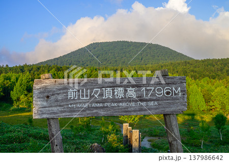 夕刻の斜光に照らされる志賀高原・前山山頂の風景 夕刻の斜光に照らされる志賀高原・前山山頂の風景 137986642