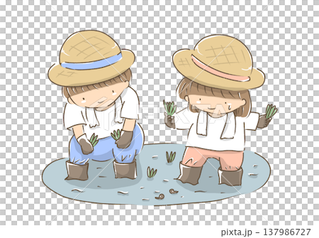 子供たちの田植え 子供たちの田植え 137986727