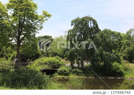 日本の公園 137986740