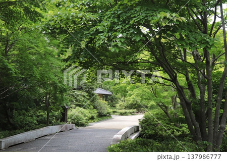 日本の公園 日本の公園 137986777