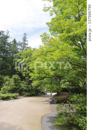 日本の公園 137986790