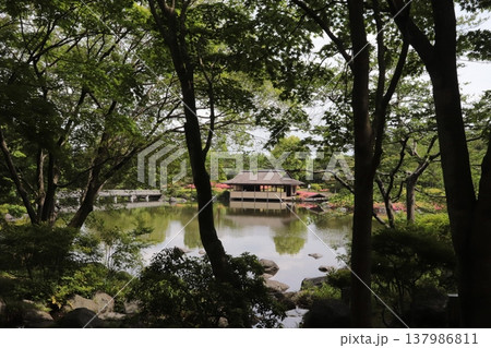 日本の公園 137986811
