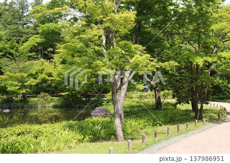 日本の公園 137986951