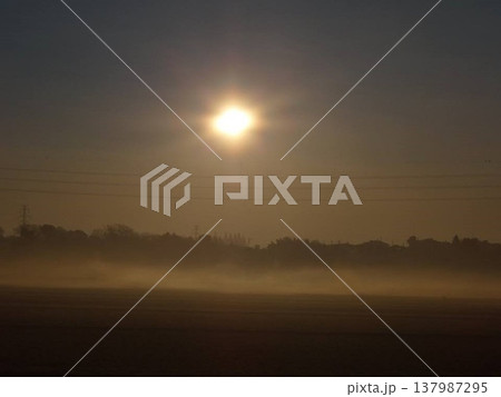 朝霧立つ冬の湿原に沈む太陽 137987295