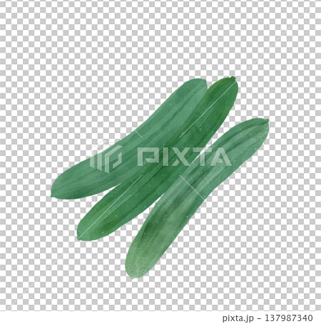 水彩插畫，描繪了三根完整的黃瓜。夏季蔬菜。新鮮食材。 137987340