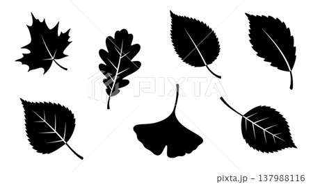 Black Solid Fallen Autumn Leaves Silhouettes Set of Six on White Background Black Solid Fallen Autumn Leaves Silhouettes Set of Six on White Background 137988116