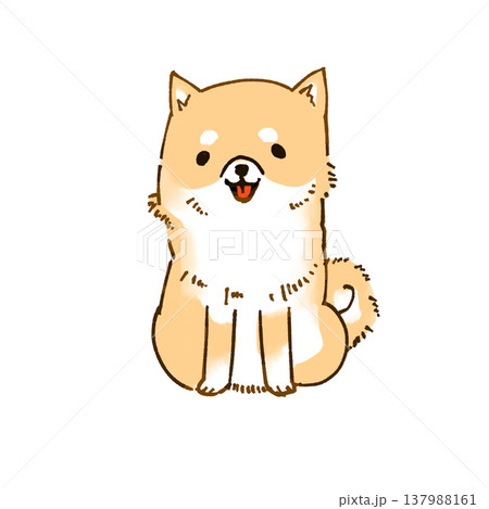 正面を向いてお座りをする柴犬のイラスト 137988161