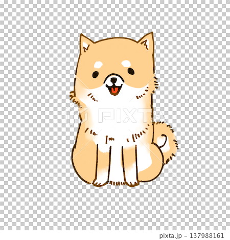 正面を向いてお座りをする柴犬のイラスト 137988161